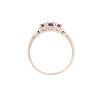 9ct Yellow Gold Tanzanite & Diamond Ring (SH24-064)