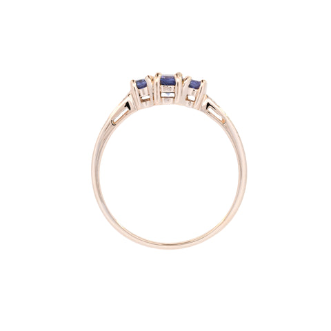 9ct Yellow Gold Tanzanite & Diamond Ring (SH24-064)