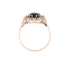 9ct Yellow Gold Sapphire & Cubic Zirconia Ring (SH24-089)