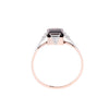 9ct Two Tone Gold Garnet Ring (SH24-122)