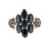 9ct Yellow Gold Sapphire Cluster Ring (SH24-019)
