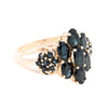9ct Yellow Gold Sapphire Cluster Ring (SH24-019)