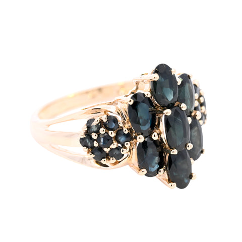 9ct Yellow Gold Sapphire Cluster Ring (SH24-019)