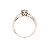 9ct Two Tone Gold 0.25ct Diamond Cluster Ring (SH24-197)