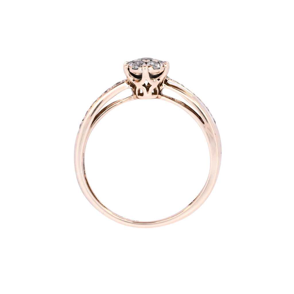 9ct Two Tone Gold 0.25ct Diamond Cluster Ring (SH24-197)