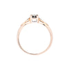 9ct Yellow Gold 0.20ct Diamond Ring (SH24-206)