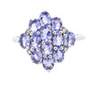 9ct White Gold Tanzanite & Diamond Cluster Ring (SH24-022)
