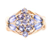 9ct Yellow Gold Tanzanite Cluster Ring (SH24-023)
