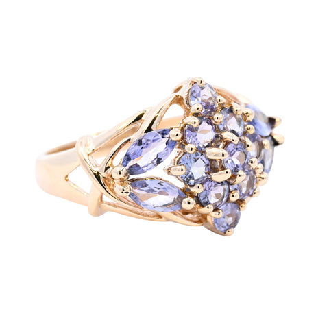 9ct Yellow Gold Tanzanite Cluster Ring (SH24-023)