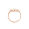 9ct Yellow Gold Oval Signet (SH24-045)