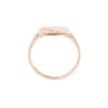 9ct Yellow Gold Cushion Signet (SH24-047)