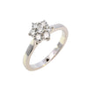 Platinum 0.51ct Diamond Daisy Cluster Ring (WS24-023)