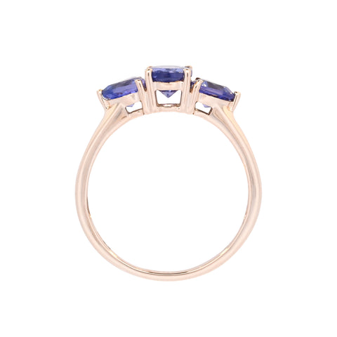 9ct Yellow Gold Tanzanite Ring (SH24-542)