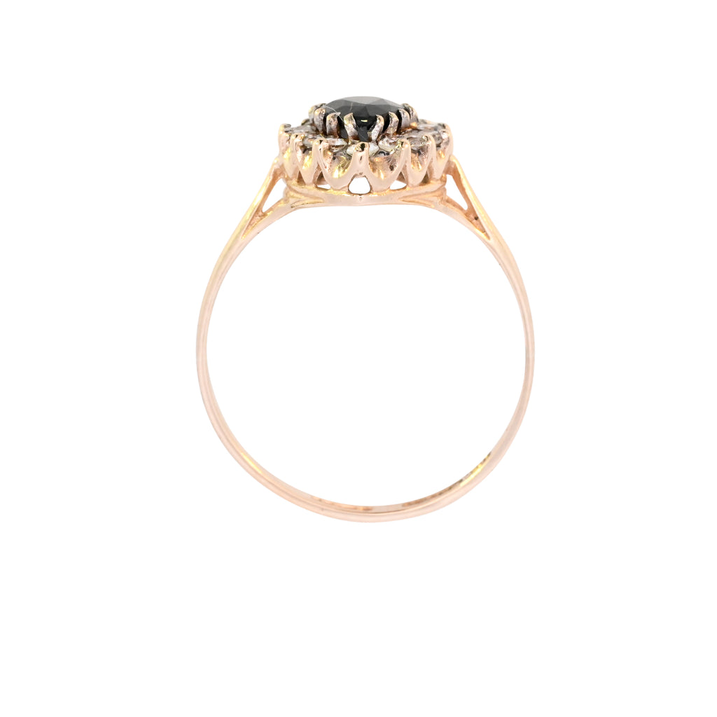 9ct Yellow Gold Sapphire & Cubic Zirconia Ring (SH24-649)