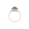 9ct Yellow Gold Sapphire & Diamond Ring (SH24-717)