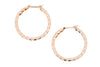 9ct Yellow Gold 25mm Twisted Hoops (SH24-097)
