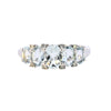 9ct White Gold Aquamarine & Diamond Ring (SH24-224)