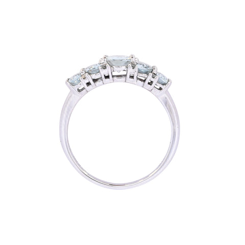 9ct White Gold Aquamarine & Diamond Ring (SH24-224)