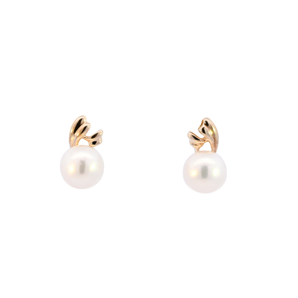 9ct Yellow Gold 6mm Cultured Pearl Studs (SH24-247)