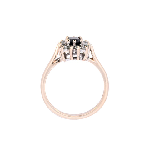 9ct Yellow Gold Sapphire & Cubic Zirconia Ring (SH24-274)