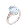 18ct White Gold 3.89 Aquamarine & Diamond Ring